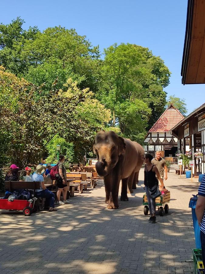 Tierpark Entdeckerhaeuser Wagenfeld Exteriör bild