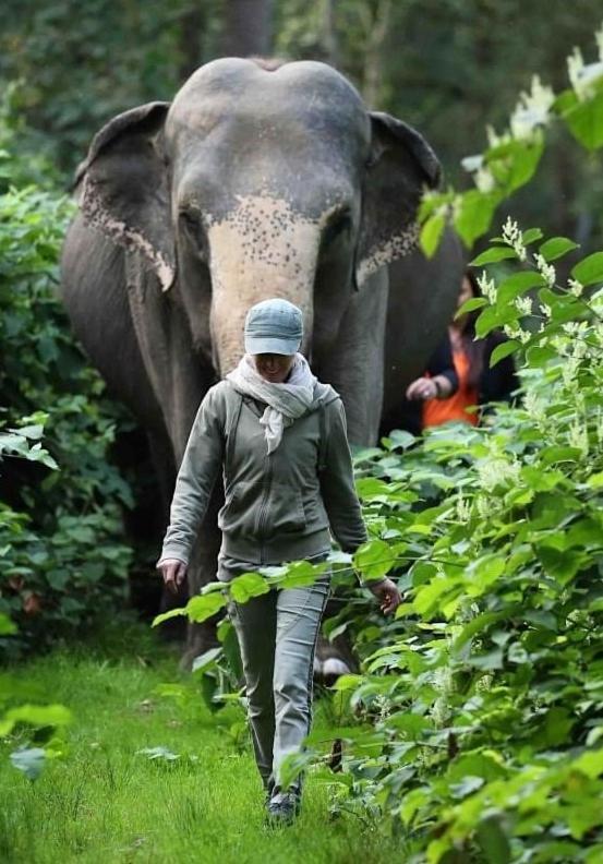 Tierpark Entdeckerhaeuser Wagenfeld Exteriör bild
