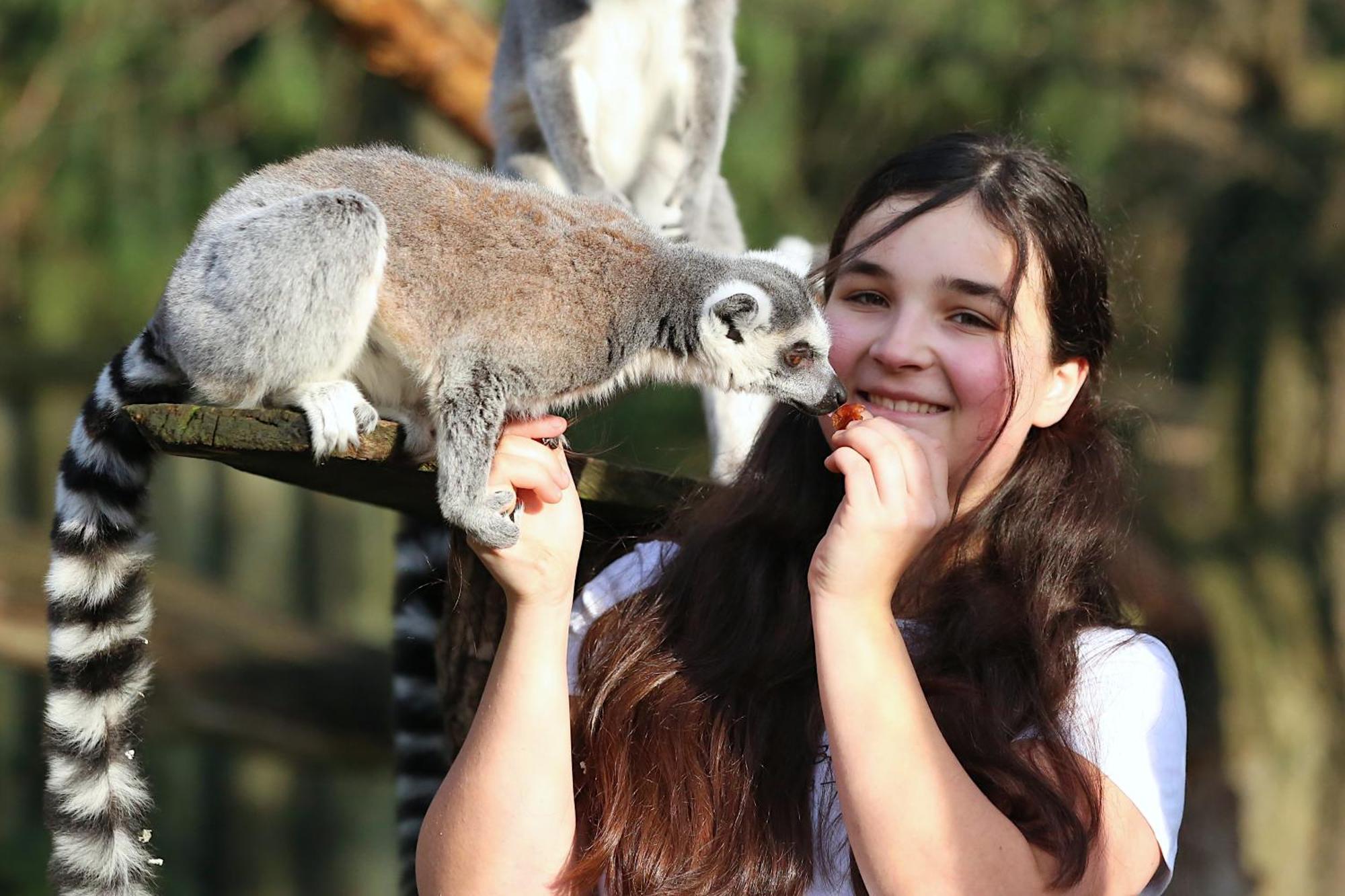 Tierpark Entdeckerhaeuser Wagenfeld Exteriör bild